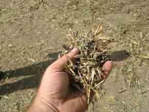 STUBBLE MANAGEMENT SYSTEM Stubble management is a term that covers the pulverization and decomposition of the remains of stubble in almost all types of crop The purpose of Stubble Management is to