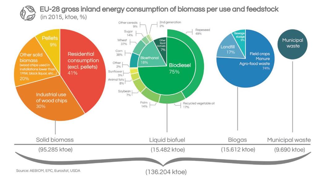 Biomass is a very diverse