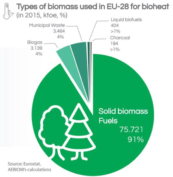 Wood dominates as fuel for heating Solid biomass is by far (91%) the first source of fuel used for bioheat, most of it being
