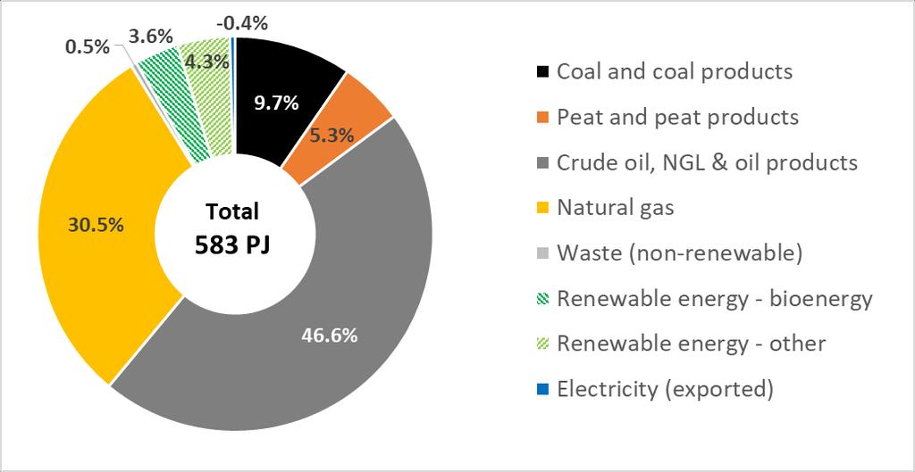 TOTAL PRIMARY ENERGY SUPPLY (TPES) AND THE CONTRIBUTION OF BIOENERGY According to IEA statistics, the total primary energy requirement of Ireland in 2016 was 583 petajoule (PJ) 3.