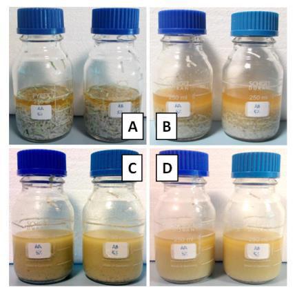 The same profiles were observed or the fermentation broth dosed with 50 FPU/g paper cellulase.