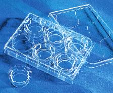 membrane domains. The use of permeable support systems for cell culture has proven to be an invaluable tool in the cell biology laboratory.
