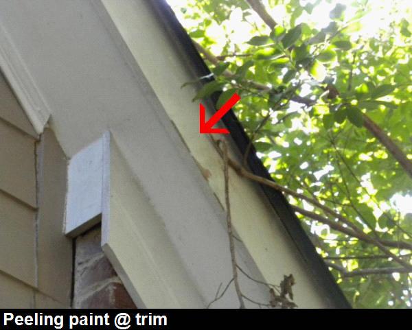 Condition(s) should be repaired/replaced as necessary by a qualified general contractor. TRIM: PAINT Peeling paint observed at the fascia, soffits and trims.