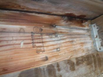 Observed missing nails on numerous joist hangers. This is a support and safety concern.