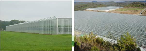 Energy Implications of Greenhouse Construction Increase Heat Transfer Capacity Condensing