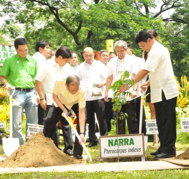 a Narra Tree during the NGP launching in 2011