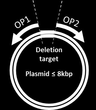 Figure 4. Primer design for nucleotide deletions. OP1 and OP2 are designed to flank the sequence targeted for deletion (gray section of plasmid) with the 3 ends facing away from each other.