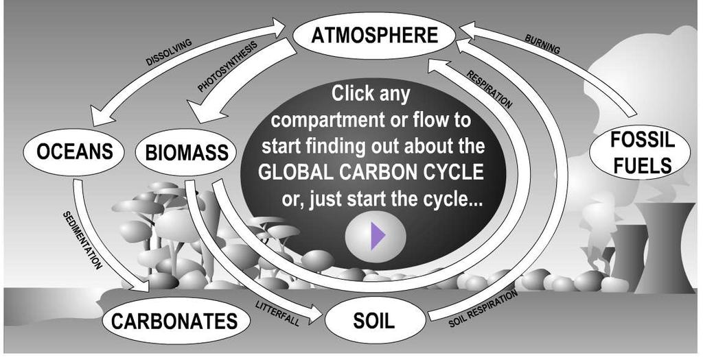 Carbon Cycle Investigation http://online.wvu.