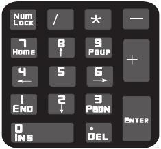 Emulate Numeric Keypad Do Not Emulate Numeric Keypad 1: Sending a number (0-9) is emulated as keystroke(s) on main keyboard.