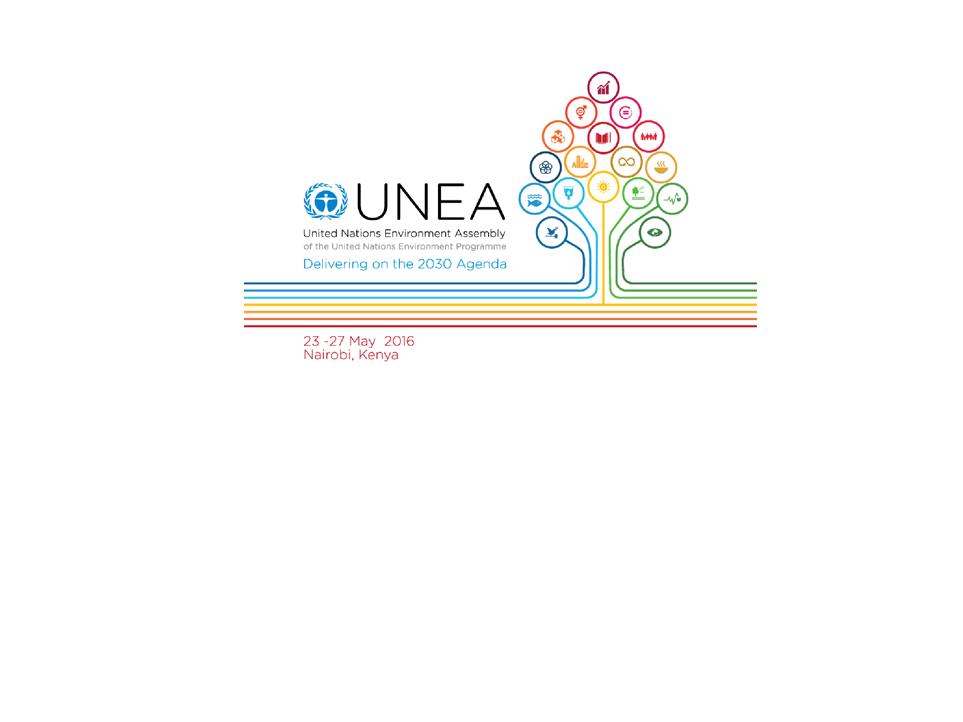 A post second session of the United Nations Environment Assembly (UNEA-2)