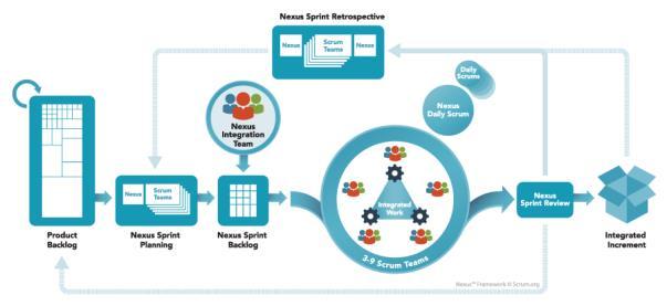Nexus Framework Nexus Framework Nexus consists of: Roles: A new role, the Nexus Integration Team, exists to coordinate, coach and supervise the application of Nexus and the operation of Scrum so the