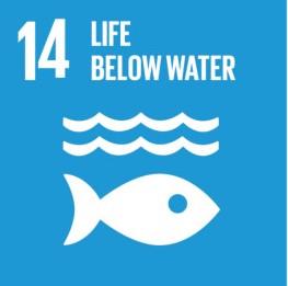 Wastewater and resources recovery covers 7 of the 17 Sustainable Development Goals Contributes to the entire SDG 6 and in particular 6.