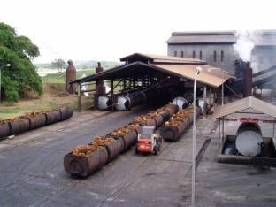 Material Balance and Zero Emission Strategy in A Palm Oil Mill