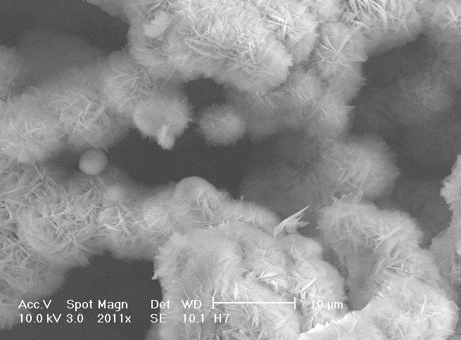 Fig. 10c. Higher magnification of coated titanium Fig. 11.