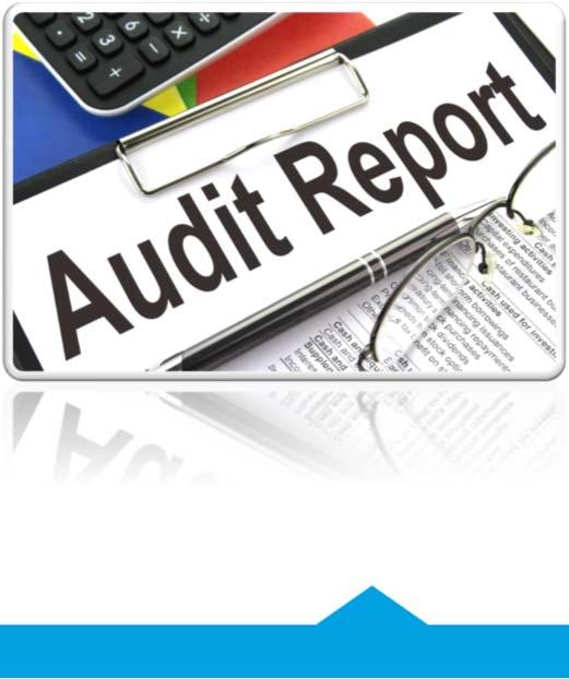 Reporting to DOL Audit Report Audit methodology Audit finding Back wage calculation methodology Plans to achieve