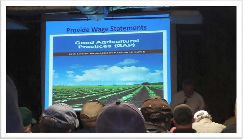 Focus on Labor Partnership with the Farm Labor Practices Group and