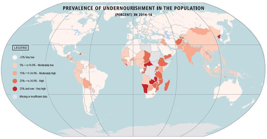 Undernourished Worldwide