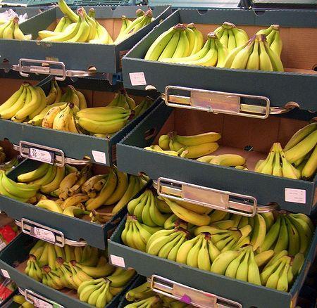 A finely tuned system - banana 99% of world trade and 35% of world production based on one variety Cavendish Highly efficient