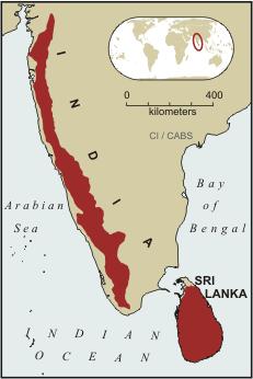 Western Ghats and Sri Lanka similar climate, geology and evolutionary history 400 km apart Together, contain; >6,000