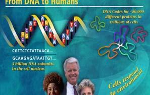 Learning Objectives By completing this tutorial, you will learn about: DNA: Chemical Composition and Structure Genes: the Genetic Code and the Central Dogma How genes are inherited Mutations and