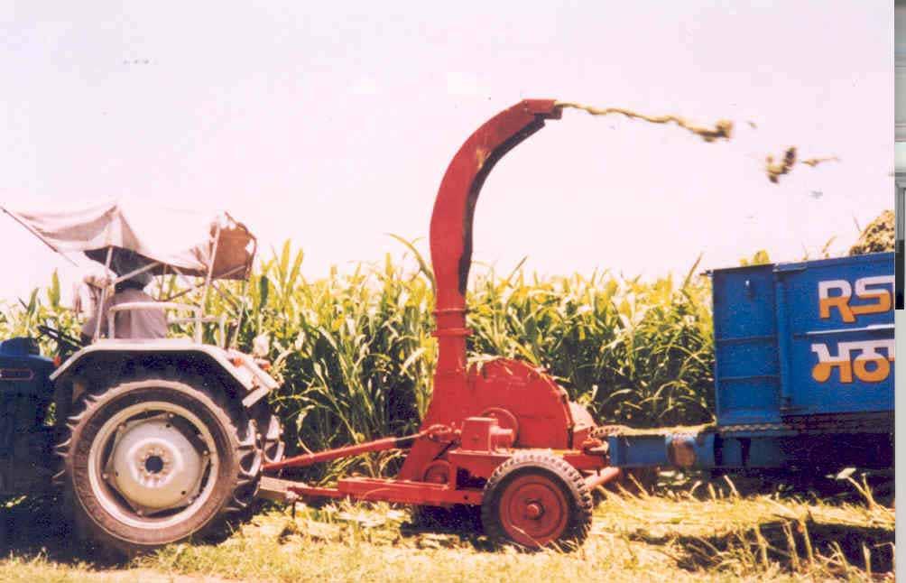 PAU Tractor Mounted Fodder Harvester Field
