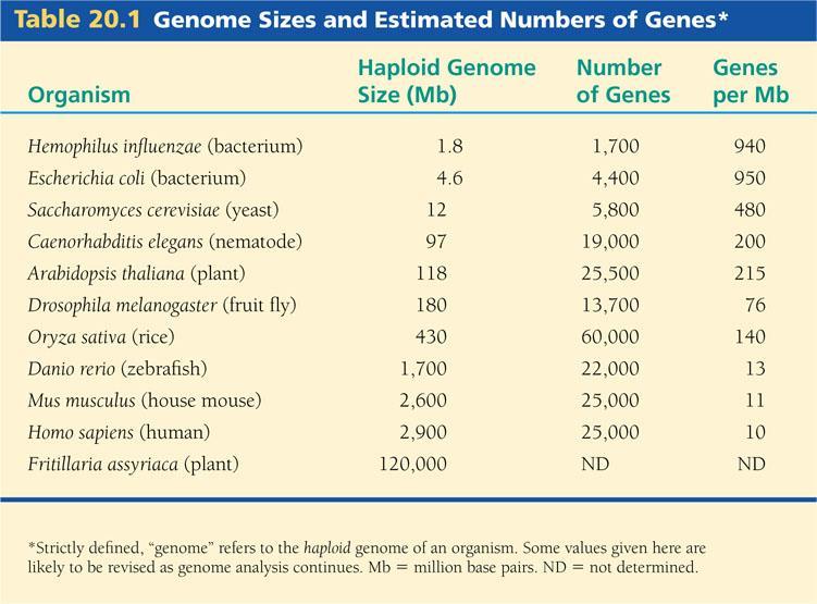 Current estimates are that the human genome contains about