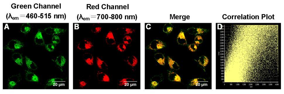 12. Confocal images of probe CyP-SNp towards GSH Figure S12. Confocal images of CyP-SNp towards GSH in green channel and red channel.