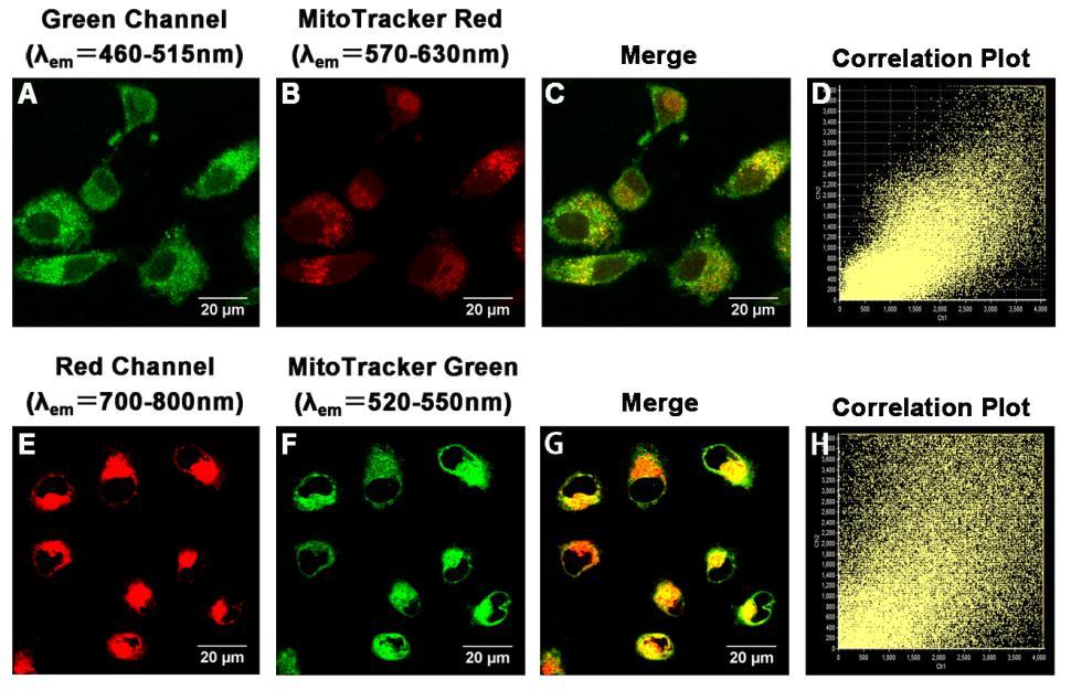 13. Confocal images of probe CyP-SNp towards exogenous GSH in mitochondria Figure S13.