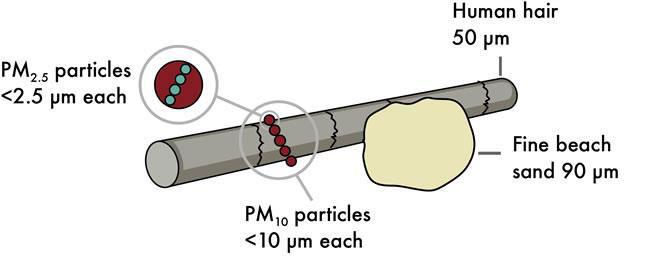 Particulate matter which are small to very small in size that