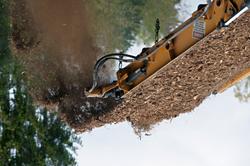 Biomass Biomass is organic material such as dead trees, branches, yard clippings,