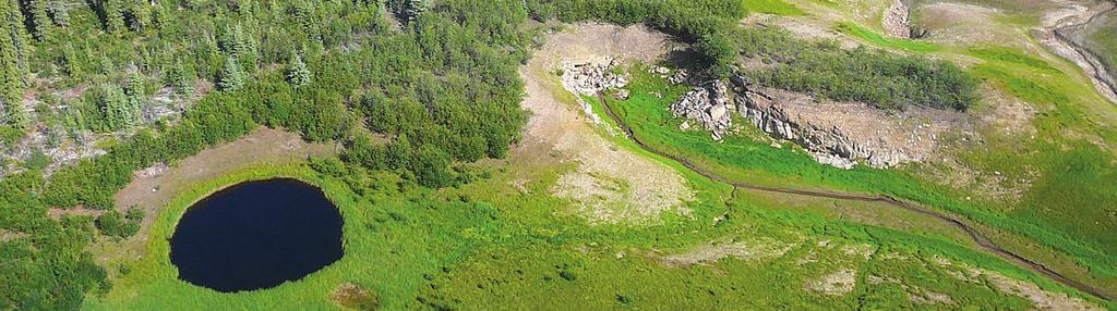 Glossary of Terms Karst features, Mackenzie Mountains Biodiversity Biological diversity (commonly abbreviated to biodiversity) means the full variety of life in a given region, including the