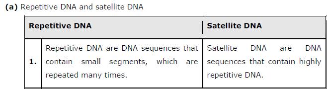 (1) DNA-dependent DNA polymerases (2) DNA-dependent RNA polymerases The DNA-dependent DNA polymerases use a DNA template for synthesizing a new strand of DNA, whereas DNA-dependent RNA polymerases