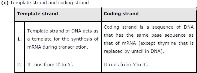 The smaller subunit comes in contact with mrna and forms a protein synthesizing complex whereas the larger subunit acts as an amino acid binding site.