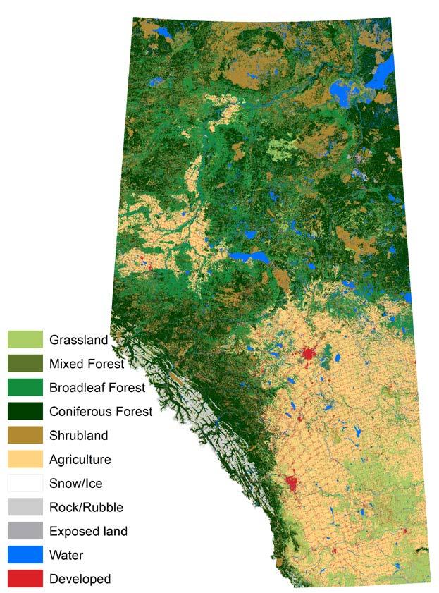 Land Surface Monitoring and Outcomes Provincial scale Land Cover inventory: Complete seamlessly created representation of provincial scale Land Cover inventory for AB Alberta Biodiversity Monitoring
