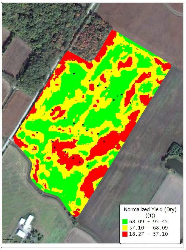 June 13, 2018 Figure 6: Normalized Yield Zones in Field. High Yield in Green, Medium in Yellow and Low Yield in Red. Sample points for stand counts are black dots overlaid on Map.