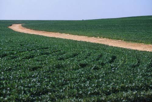 Non-Irrigated Soybeans in NE Kansas KFMA Enterprise Records: