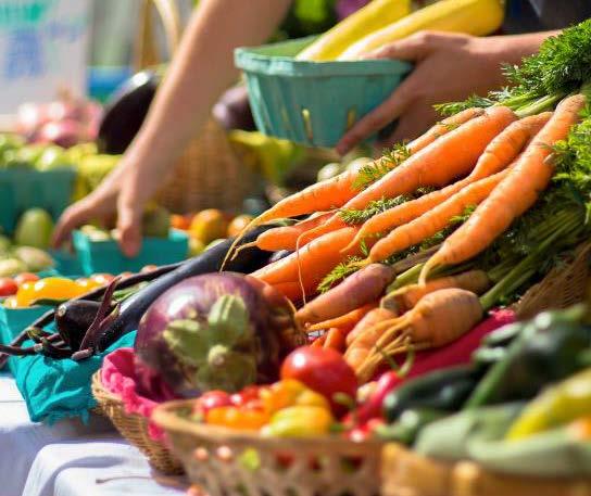 Navigator Responsibilities Introduce new shoppers to farmers markets Support food assistance shoppers Connect the farmers market to existing SNAP-Ed