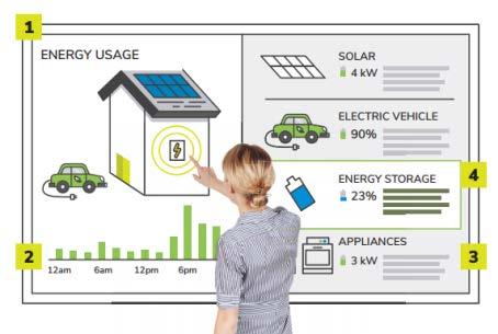 energy support programs Renewable distributed