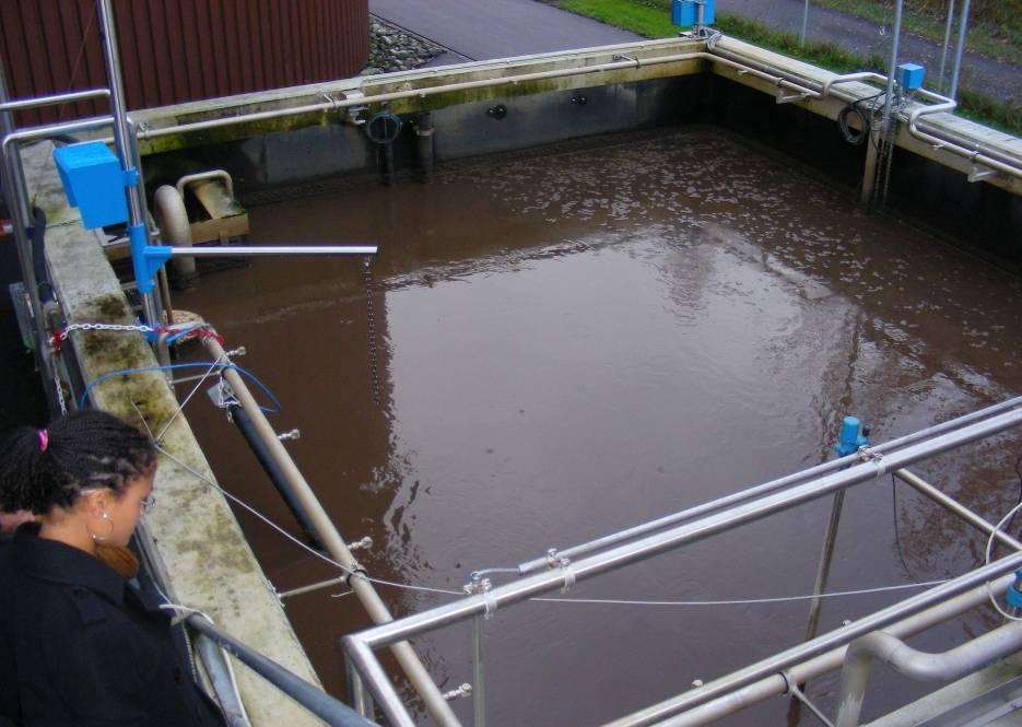 Contents Nitritation/Anammox Niederglatt Scope of sludge liquid