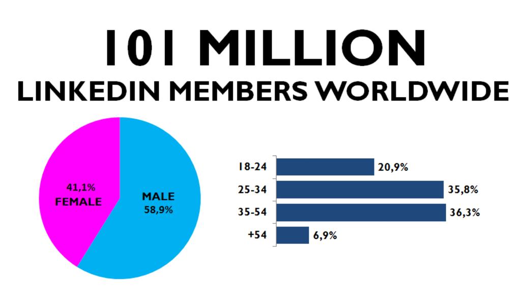 LinkedIn Factoids LinkedIn Demographics 2011 Source: Amodiovalerio Verde