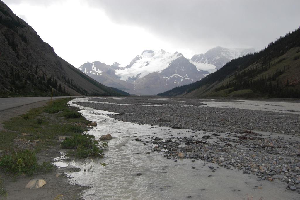 12 Athabasca River floodplain (just north of Columbia Icefields (July 2008) Photo: T.