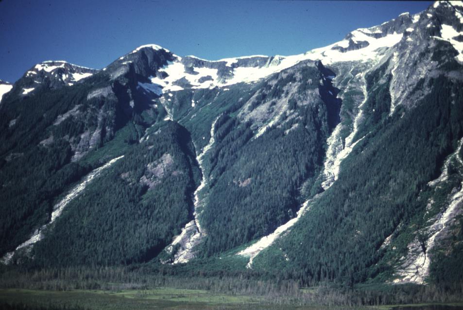 Landslide Disturbance 23 Avalanche tracks (bottom left); Earth