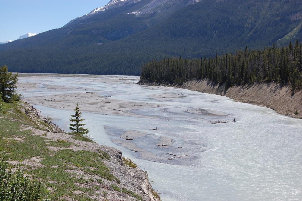 5 Canadian Rockies (recently deglaciated landscapes) Athabasca