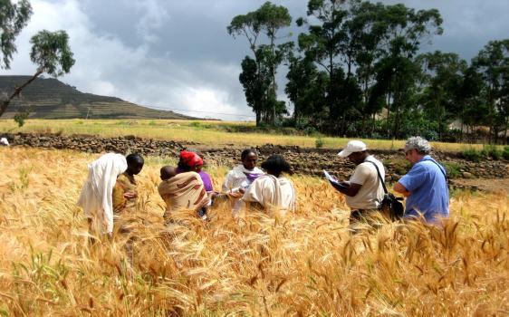 Participatory Evaluation Ethiopia 30 farmers