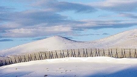 private industry, and landowners have established living snow fences along many of Wyoming highways and roads.