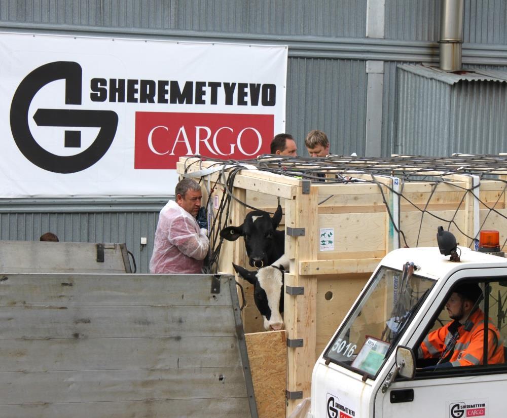 Sheremetyevo-Cargo has a great