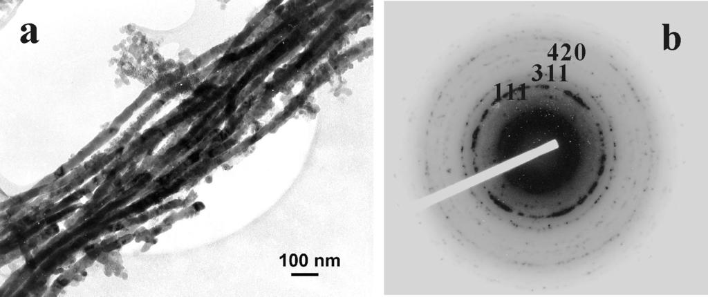 Figure 5.9: (a) TEM image of a bundle of released SnSe nanowires with a diameter of 25 nm; (b) Electron diffraction pattern of a bundle of SnSe nanowires. 5.3.