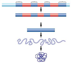 RNA Editing RNA molecules sometimes require bits and pieces to be cut out of them before they can go into action. The portions that are cut out and discarded are called introns.