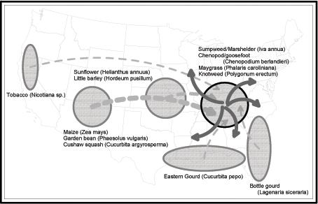 Fig 4 Early domesticate influx to and dispersal from the southeastern agricultural hearth.