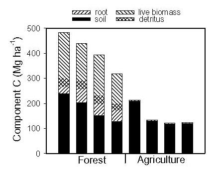 Fig 7 Herbaceous species diversity shifts to weedy species when patches are smaller or the intensity of past disturbance is greater.